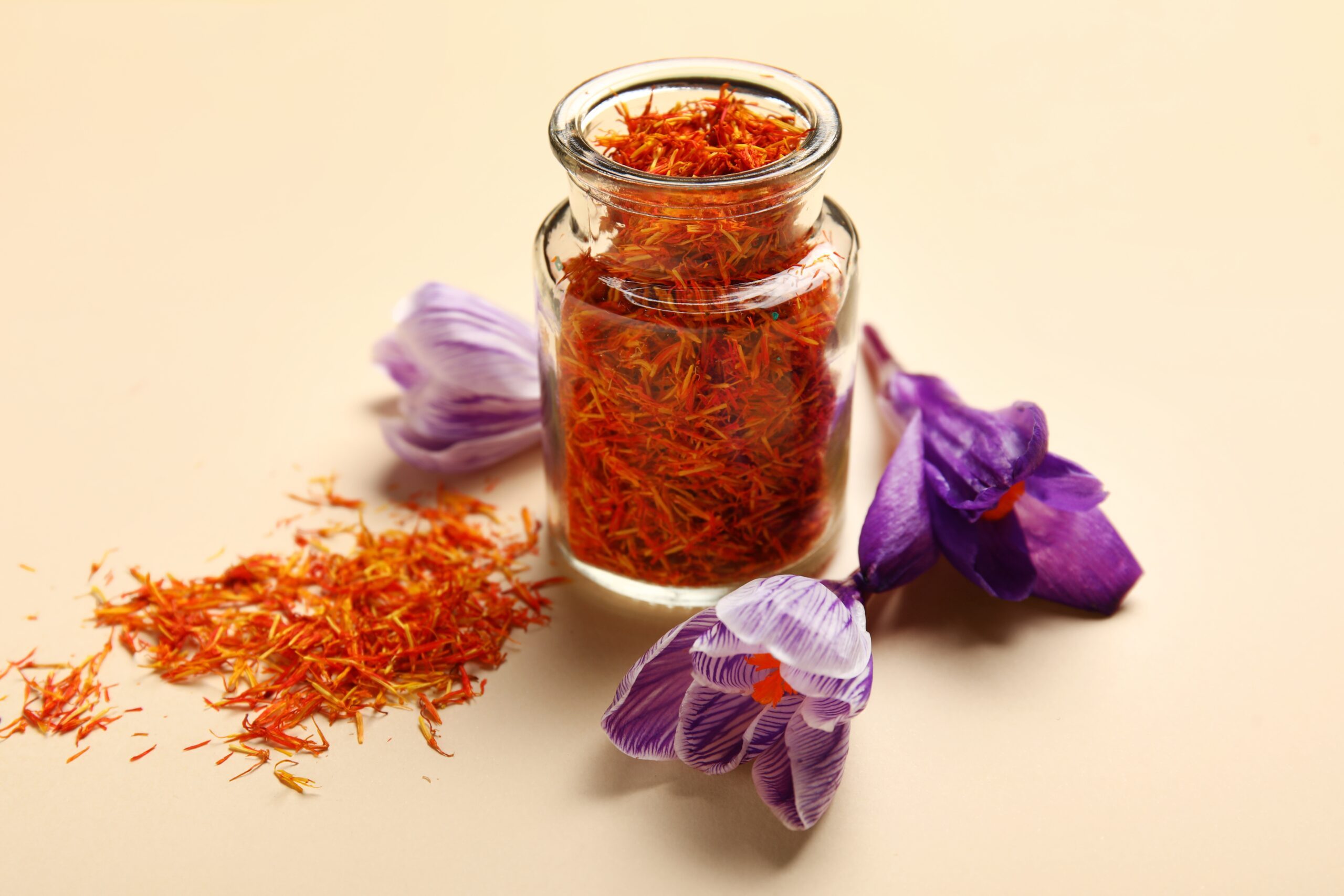Flower, Petal, Plant