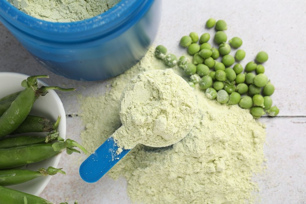 pea protein powder