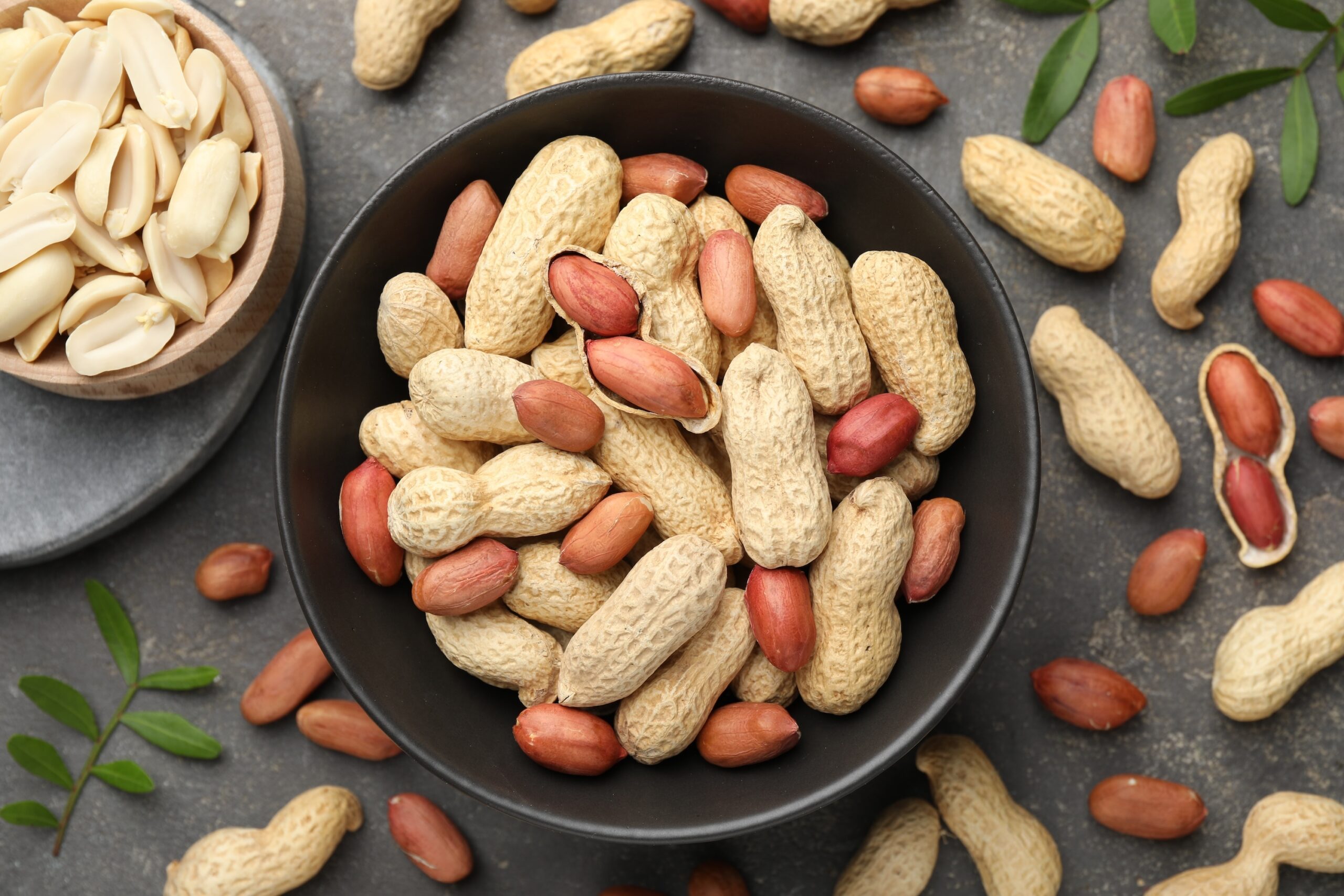 Plate, Food, Nut